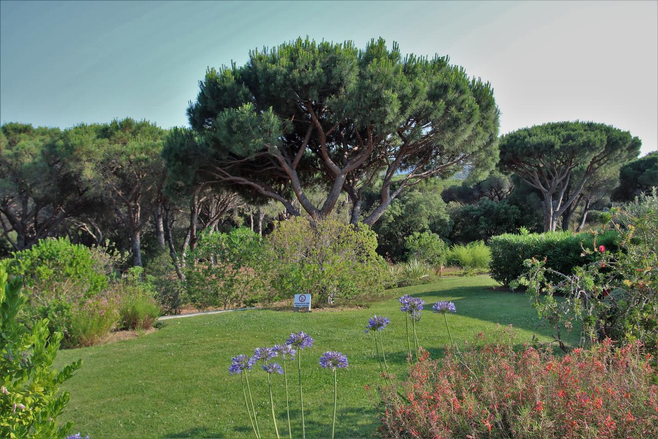 Appartement Les Pins Bleus à Sainte-Maxime Extérieur photo